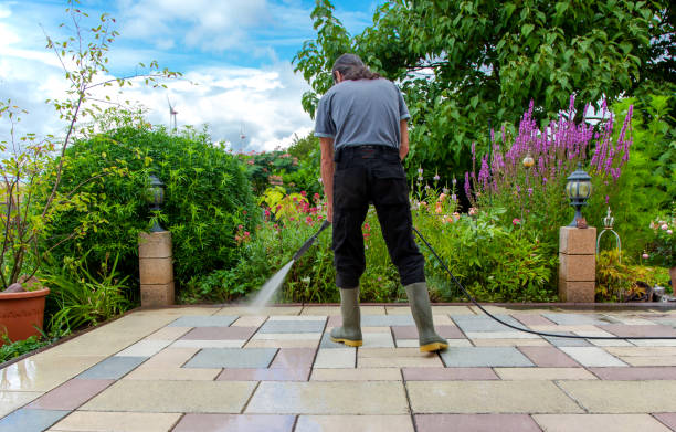 Best Winterizing Services  in Springdale, NJ