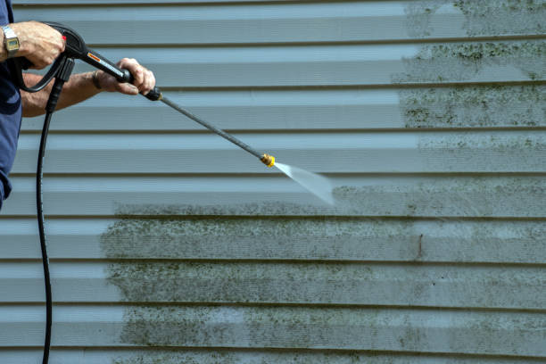 Best Gutter Cleaning  in Springdale, NJ